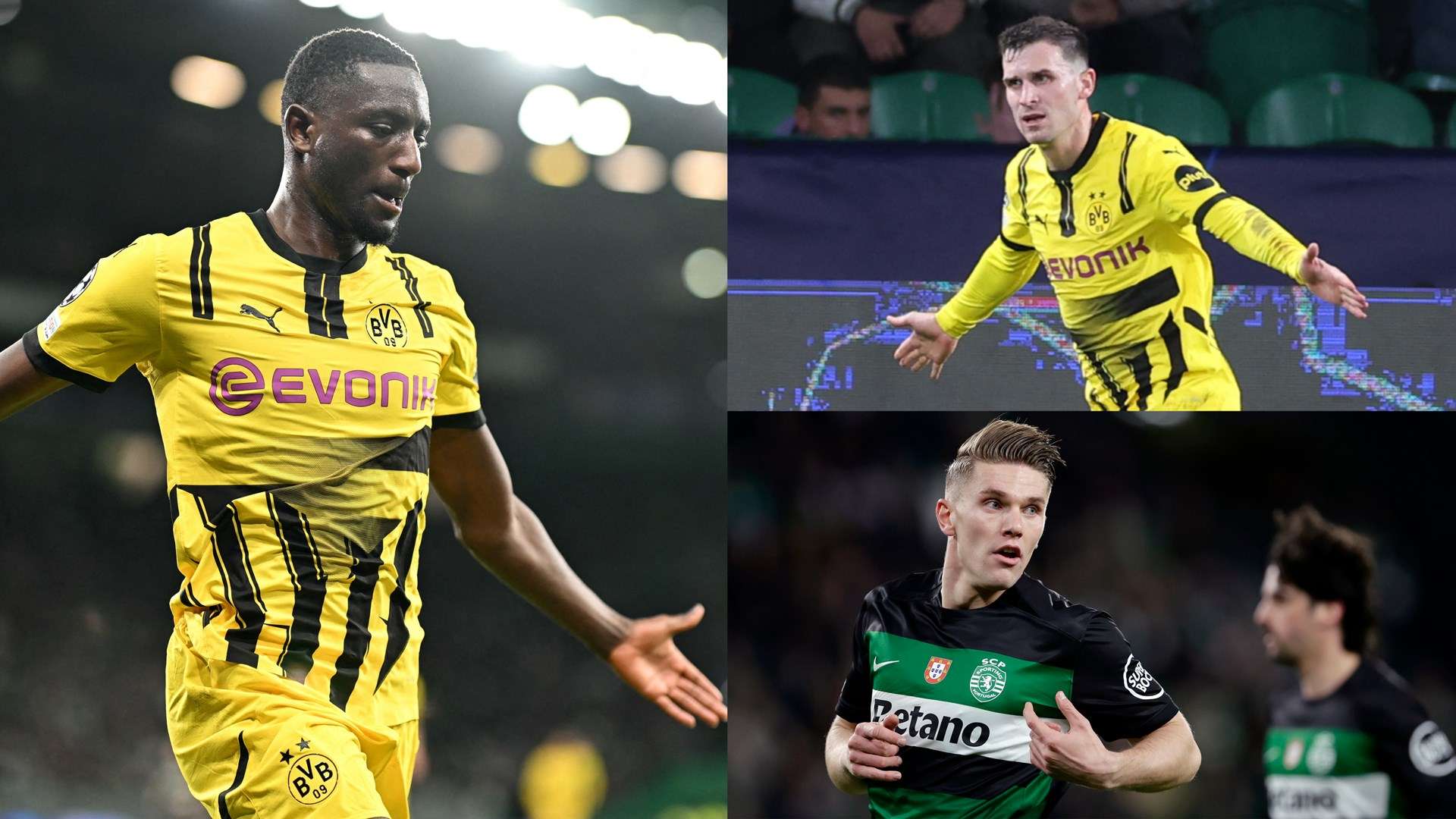 卫的看法 卫的看法