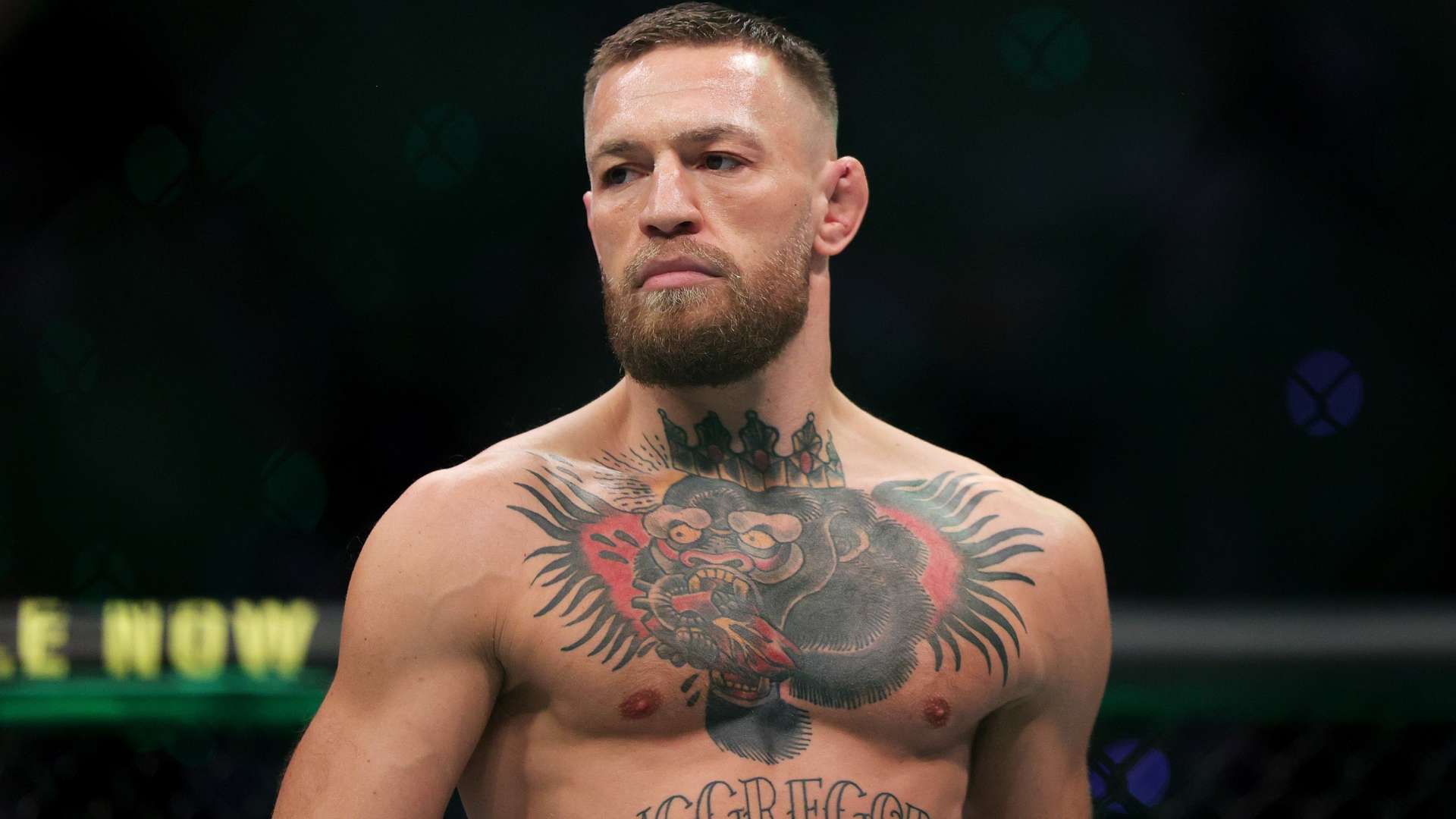 梦想中国 梦想中国